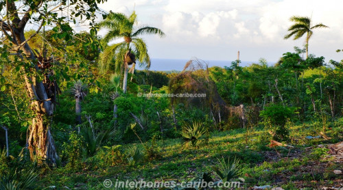 photos for SOSUA: LOT VISTA OCEANA